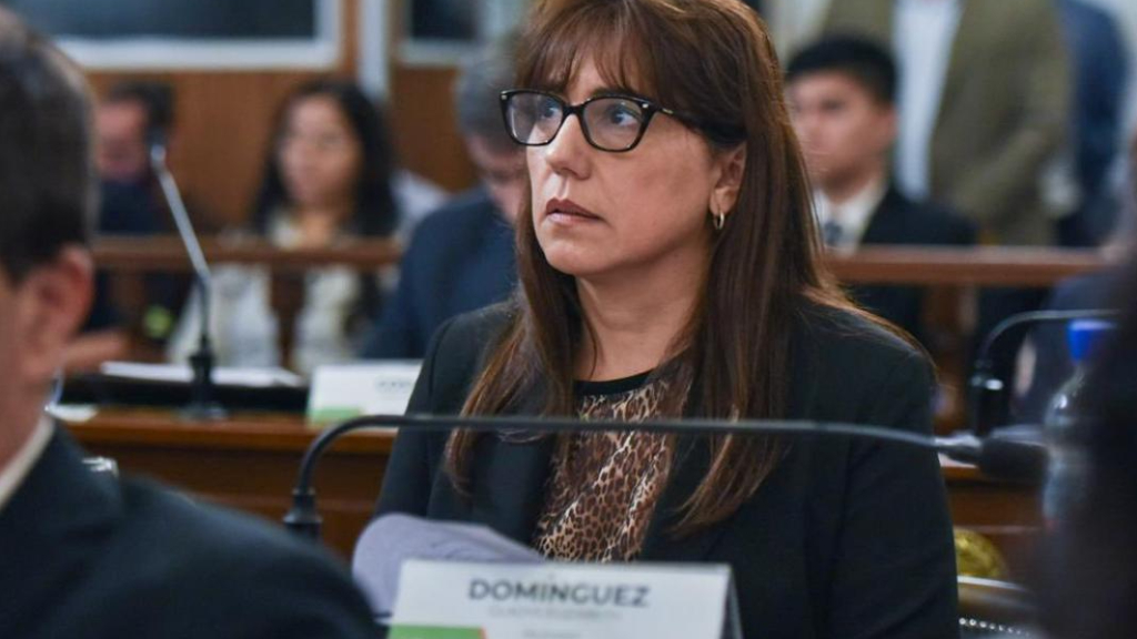 Domínguez oficializó su bloque unipersonal