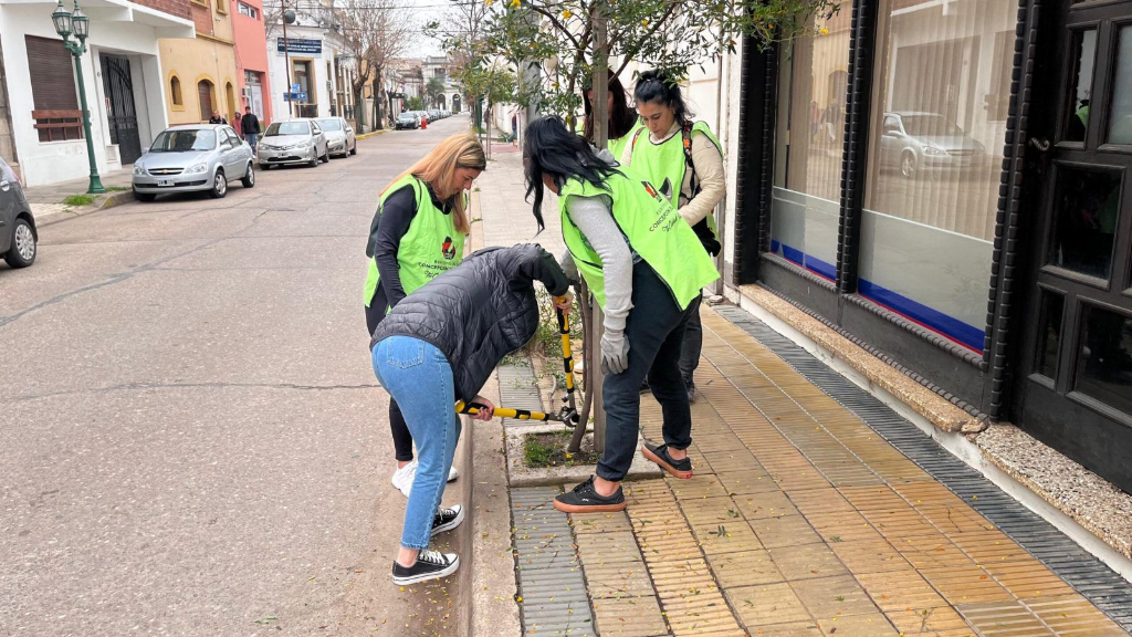 Presentarán el programa Arbolado