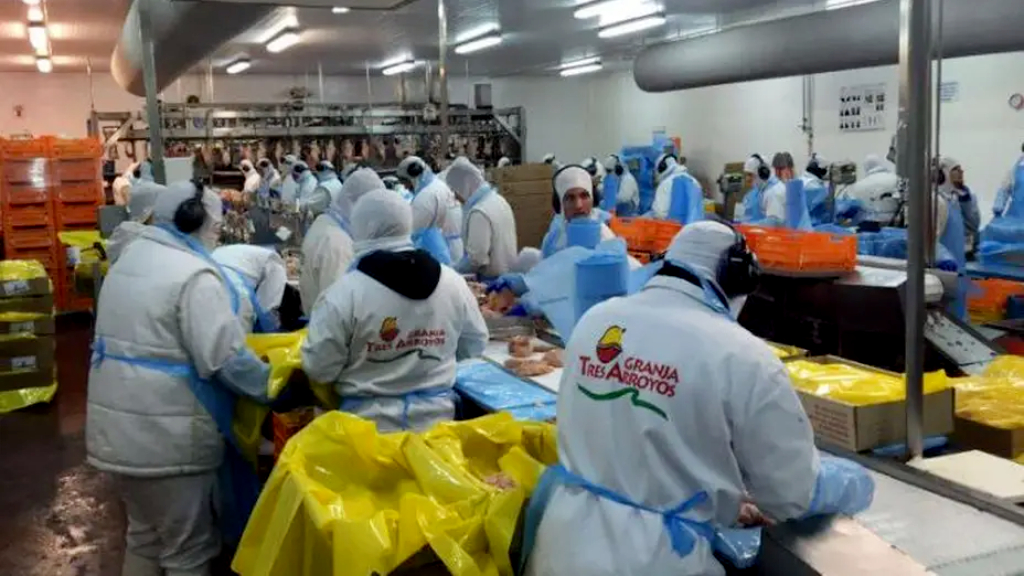 “Dueña del negocio de los pollos, en crisis”