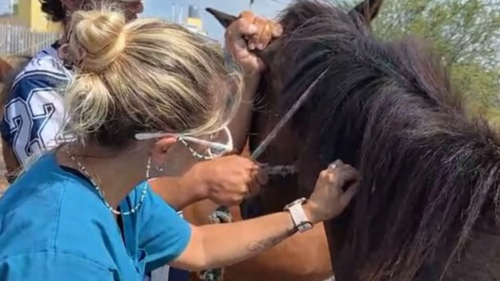 El Municipio realizó un operativo interdisciplinario en el barrio 100 Viviendas