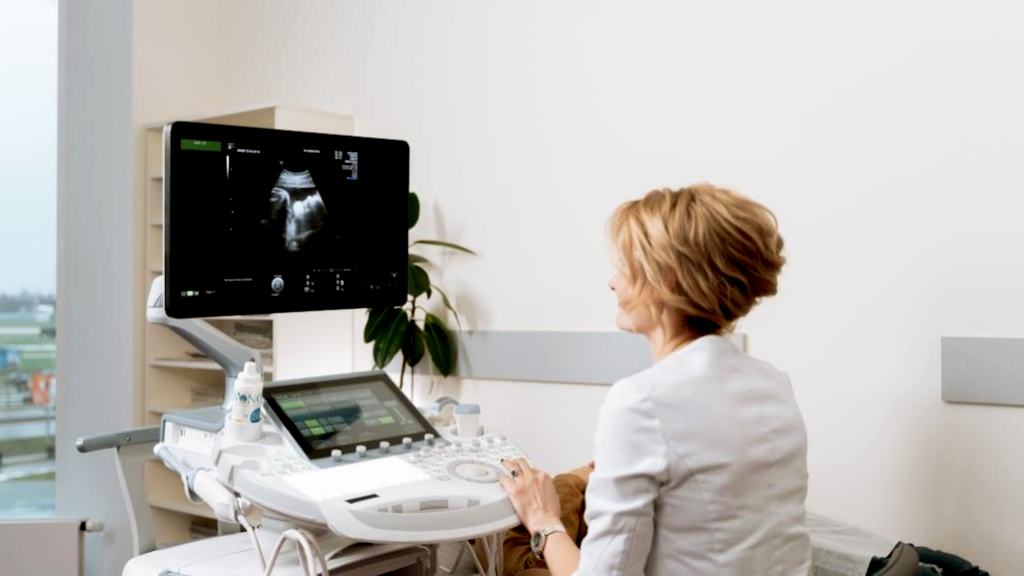 Impulsan un programa integral para abordar la endometriosis