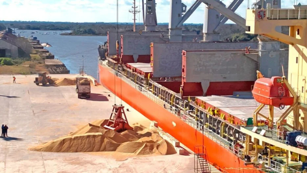 Primera exportación de harina de soja no transgénica a Dinamarca
