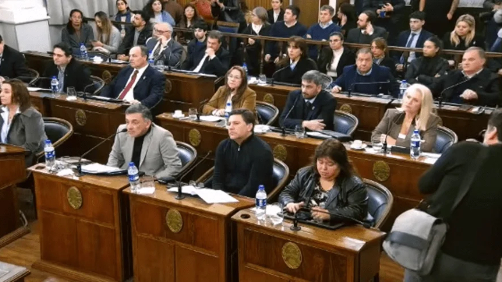 Con los votos de dos ¿peronistas?, el Senado dio media sanción a la reforma