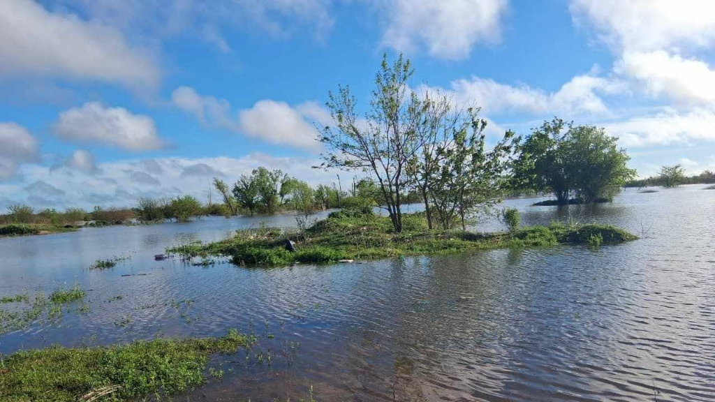 ¿Cómo prepararnos ante El Niño? Conocé estas recomendaciones