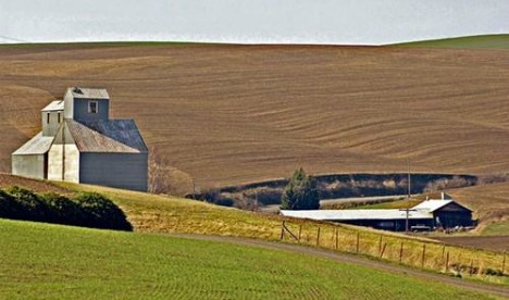 El STJ ratificó el Impuesto Inmobiliario Rural
