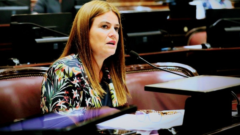 Kunath adelantó su apoyo al freno del Tarifazo