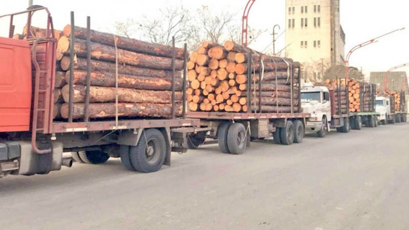Un ultramarino cargará maderas para exportación