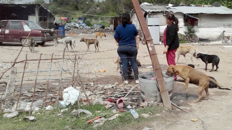 Bloqueo sanitario ante probable caso de leptospirosis