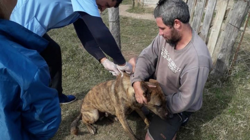 Operativo integral de Zoonosis en la zona oeste de la ciudad