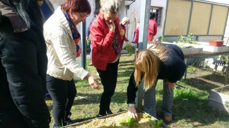 Jardines municipales tendrán sus huertas escolares agroecológicas