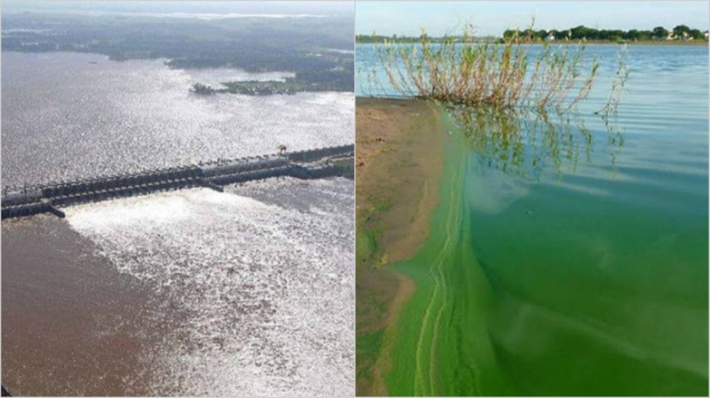 “Es la primera vez en la historia que la CARU permite esta contaminación del Río”