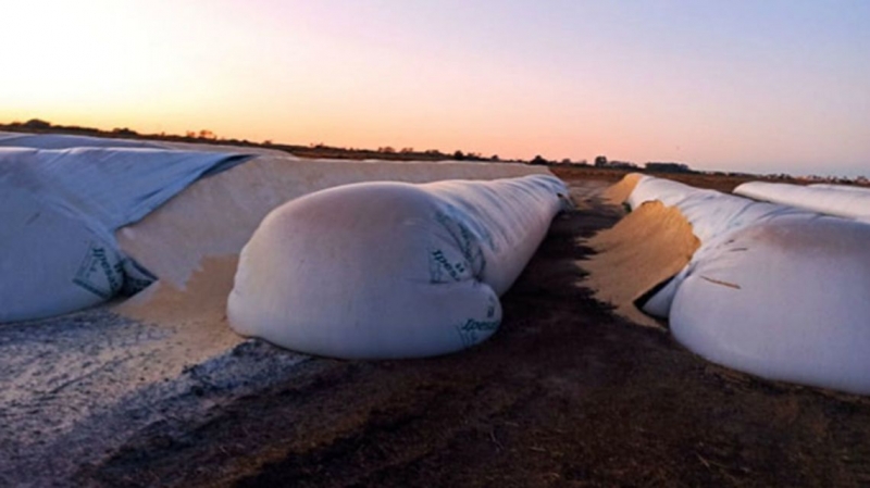 Proyecto de Cambiemos sobre los ataques a los silosbolsas