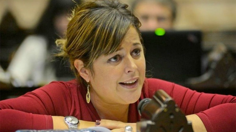 “La justicia está en crisis hace años por eso es importante este proyecto”, definió Gaillard
