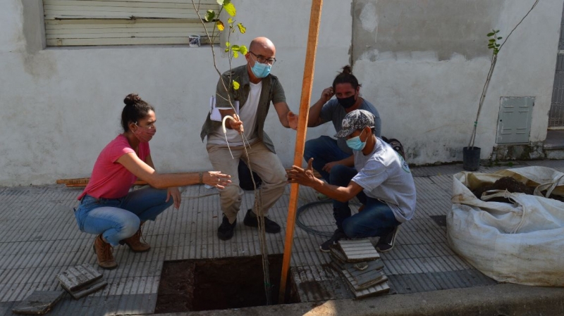 La salud pública y el medio ambiente, ejes que se relacionan en el nuevo Plan de arbolado urbano