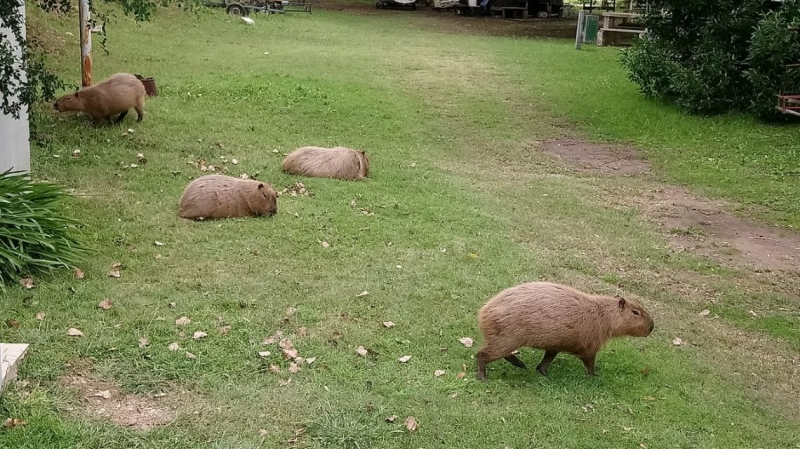 Ecoparque en la zona del viejo hospital