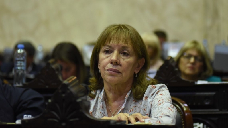 “El fallo del Poder Judicial es un golpe institucional que pone en riesgo la vida
