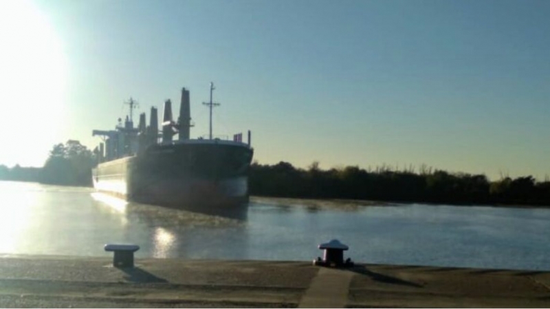 Comenzó en el Puerto una nueva exportación de madera