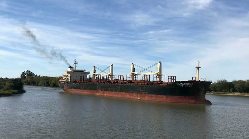Ingresó un ultramarino al puerto para la exportación hacia la India