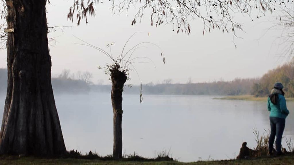 Las investigaciones sobre Gualeguaychú