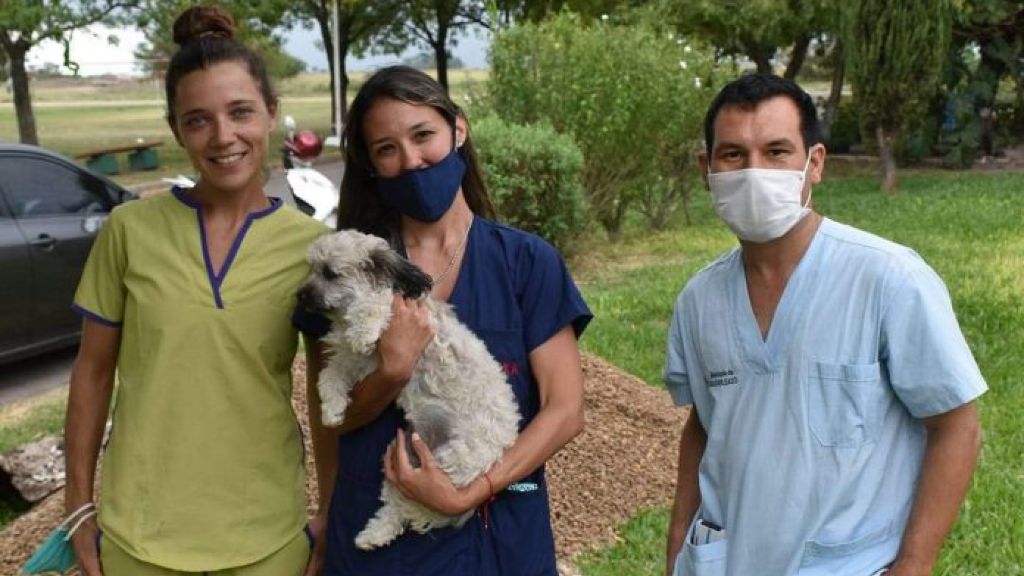 Basavilbaso: Censo Municipal de Mascotas