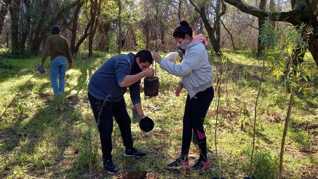 Plantan y recuperan especies nativas en Paso Vera