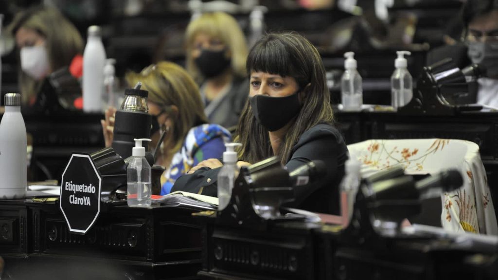 “Oposición irresponsable”, dijo Gaillard sobre JXC por no tratar el Etiquetado Frontal