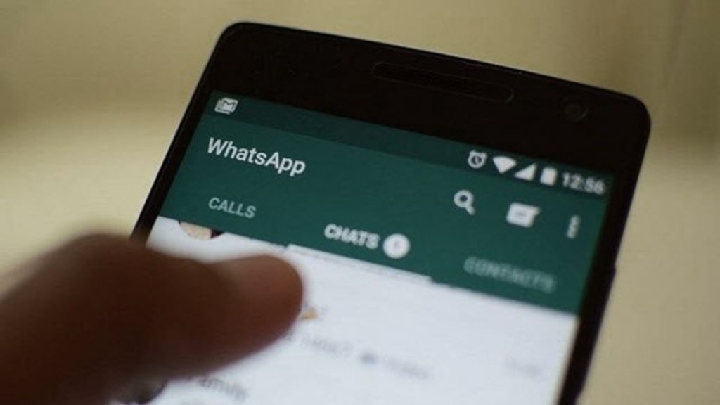 Dónde voto y otros datos de las elecciones se pueden consultar por WhatsApp