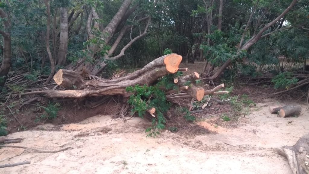 Concepción del Uruguay denunció desmontes y fogatas en el camino a La Toma