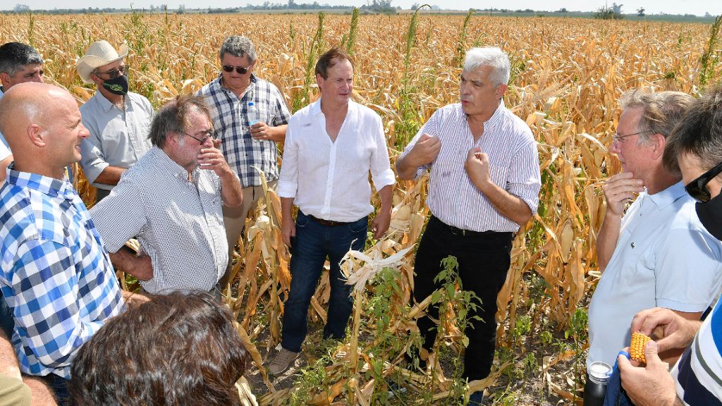 Por la sequía, Bordet convocó a entidades agropecuarias