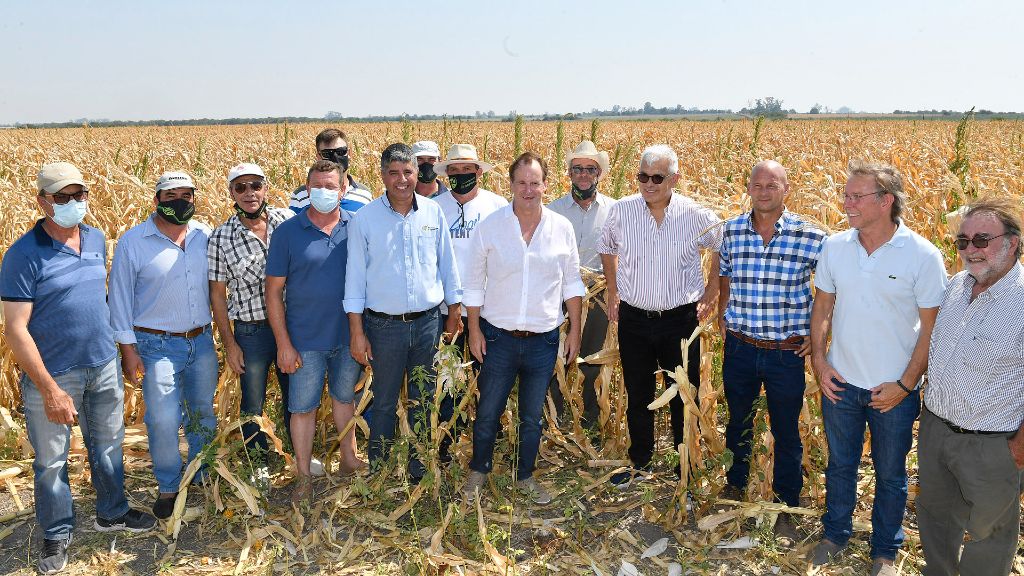 Bordet declaró la emergencia agropecuaria en Entre Ríos