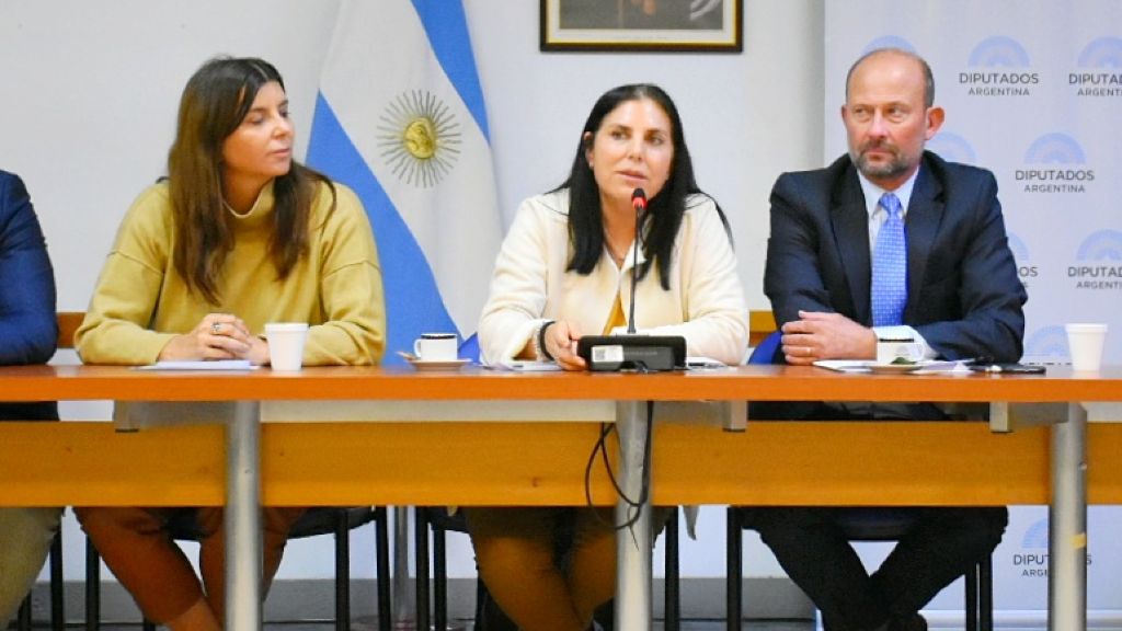 Lena reasumió la presidencia de la Comisión de Comercio