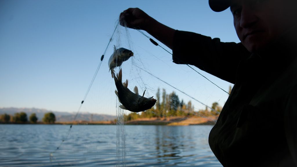 Censan a pescadores artesanales locales