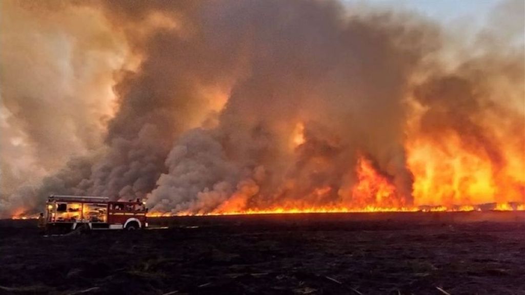 Nación presentó una denuncia con datos georeferenciados sobre los campos en donde se inician