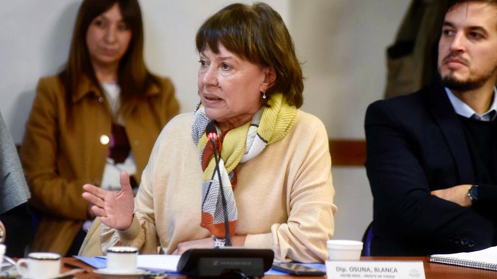 Osuna afirmó que algunas definiciones del gobierno