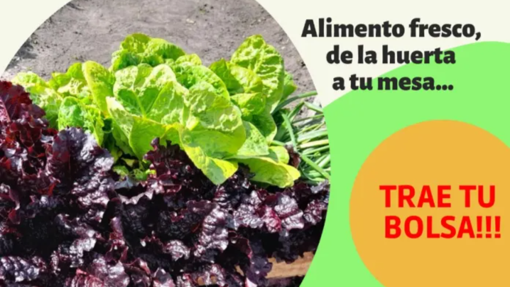 San Justo: Venta de verduras agroecológicas de la huerta municipal