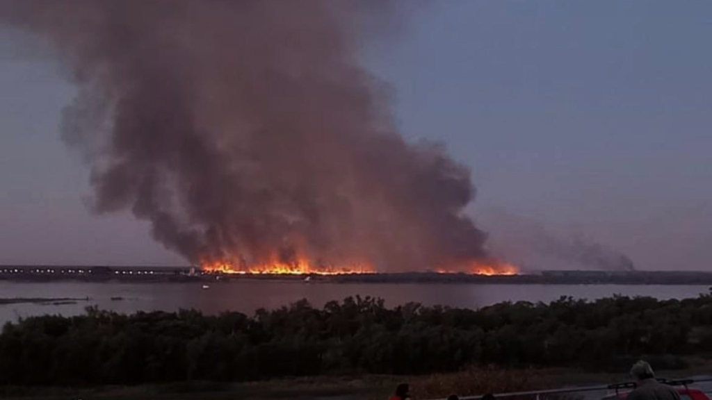 Por los incendios en el Paraná, Gaillard exigió la ley de Humedales