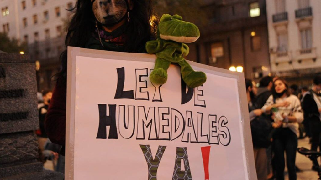 Desde la FAA apuestan a desarmar la ley de Humedales