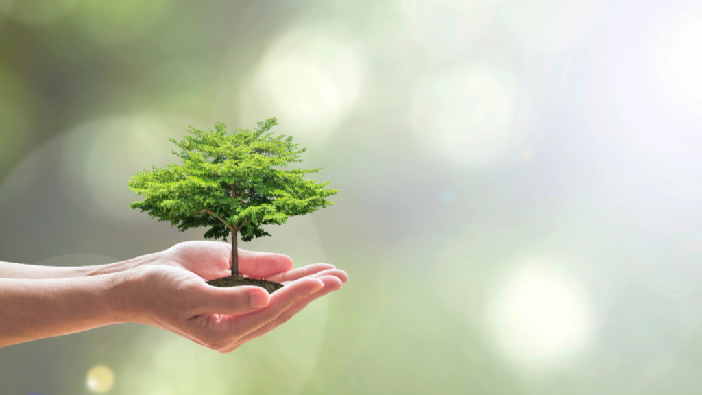 Capacitarán sobre derecho ambiental