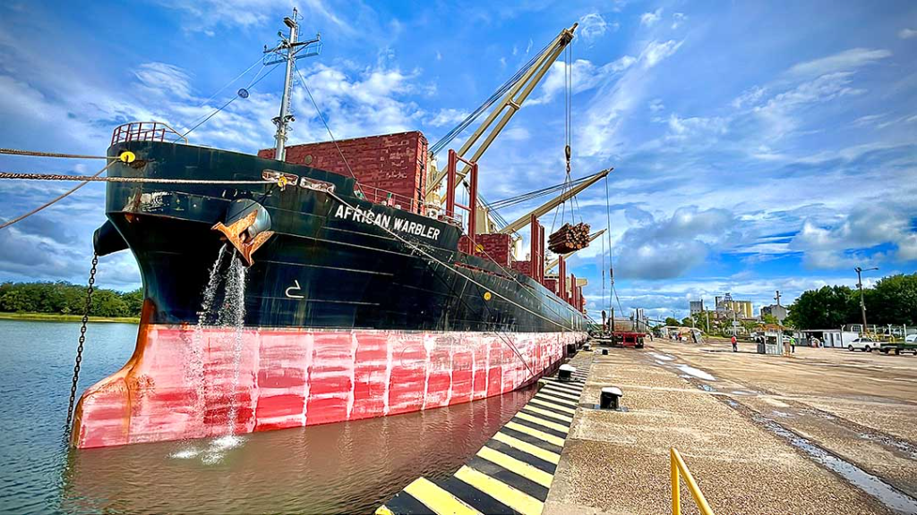 Un nuevo buque opera en el puerto mientras otro espera en rada