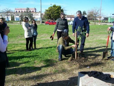 En el Día del Árbol se plantaron ejemplares en plazas de la ciudad