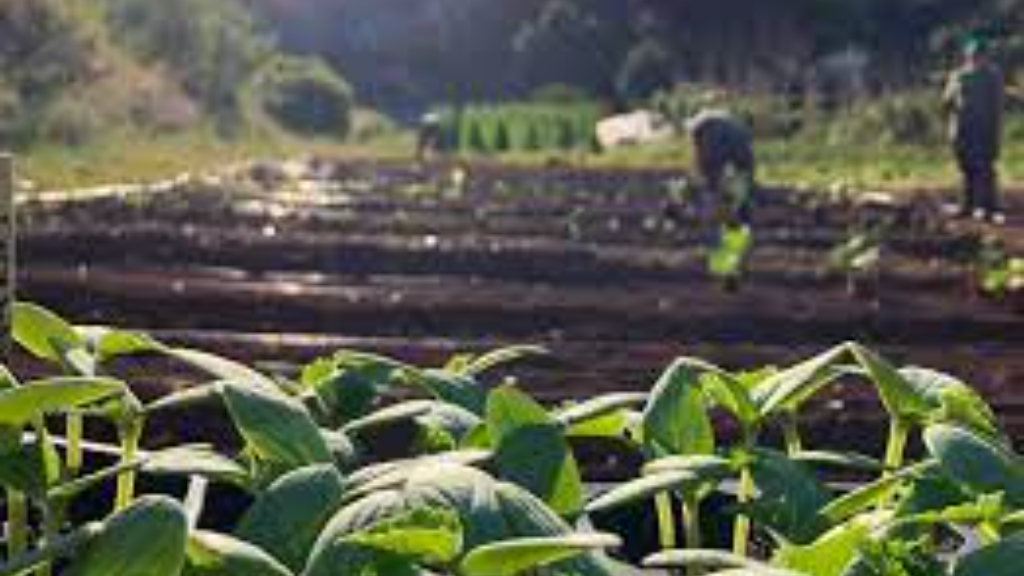 Llega la segunda jornada de Producción Agroecológica a La Histórica