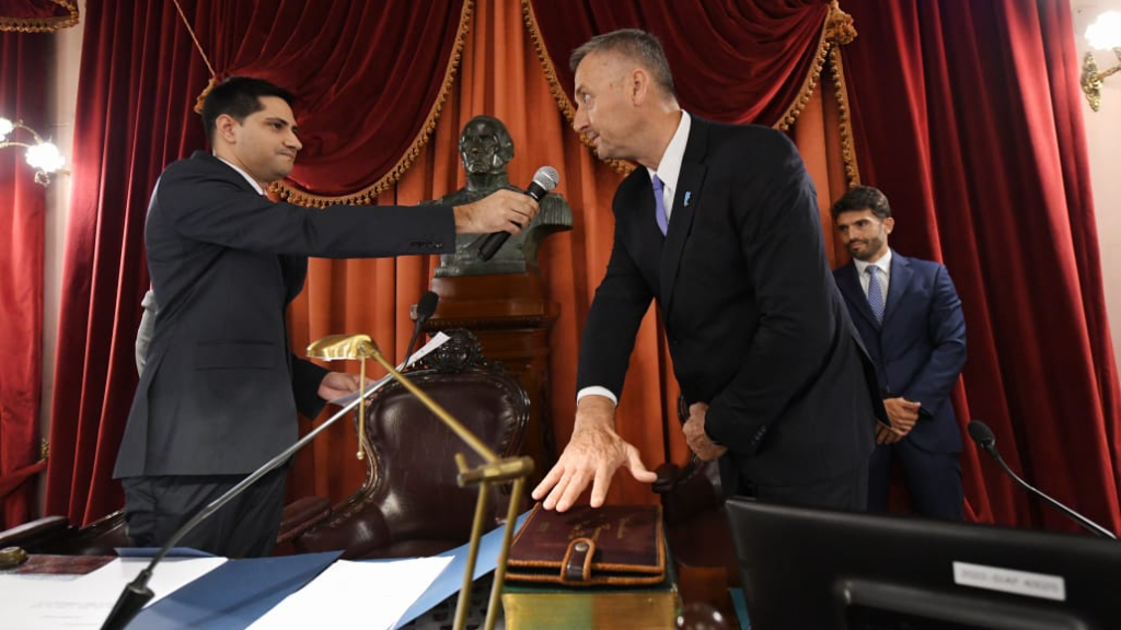 Hein asumió como diputado y presidirá la cámara