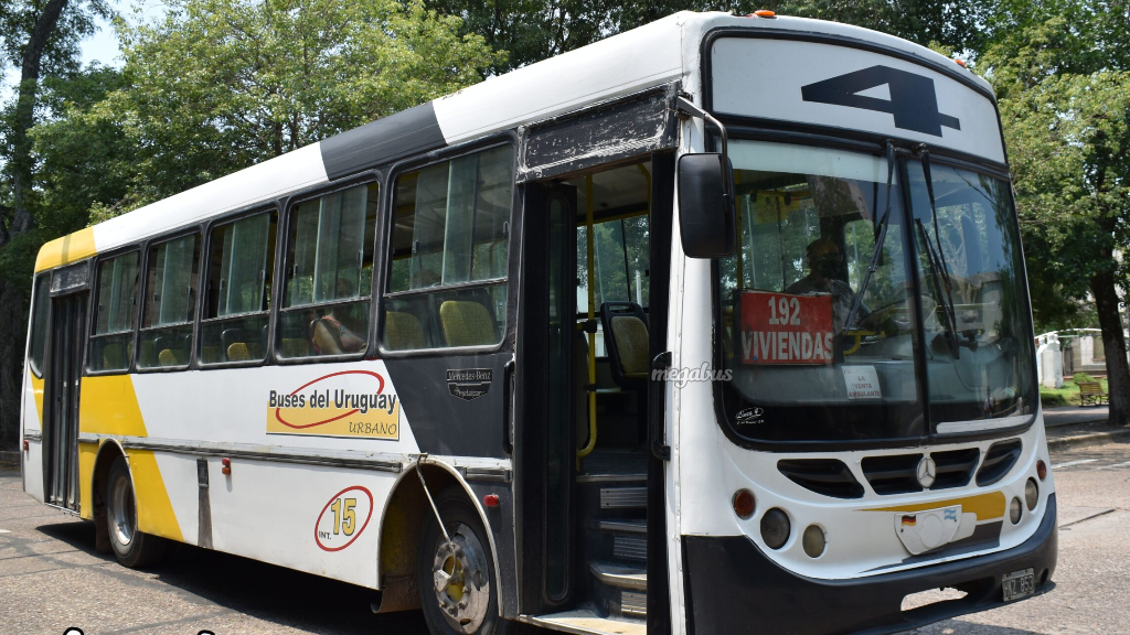 Por el ajuste de Milei se eliminan recorridos en los colectivos urbanos