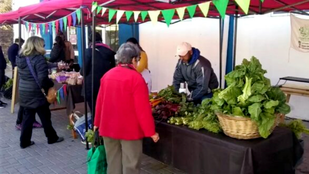 Vuelve la Feria Franca