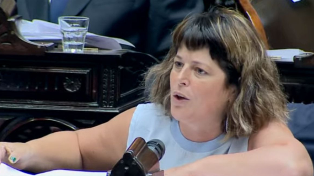 Gaillard reclamó por la comisión de control del DNU: 