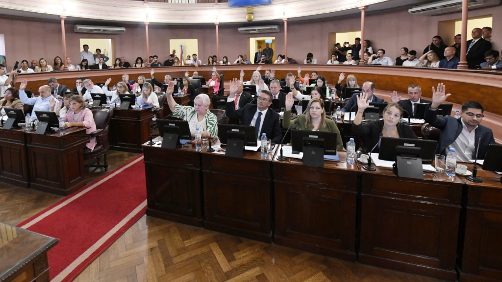 Diputados repudiaron la actitud de Milei ante las personas Down