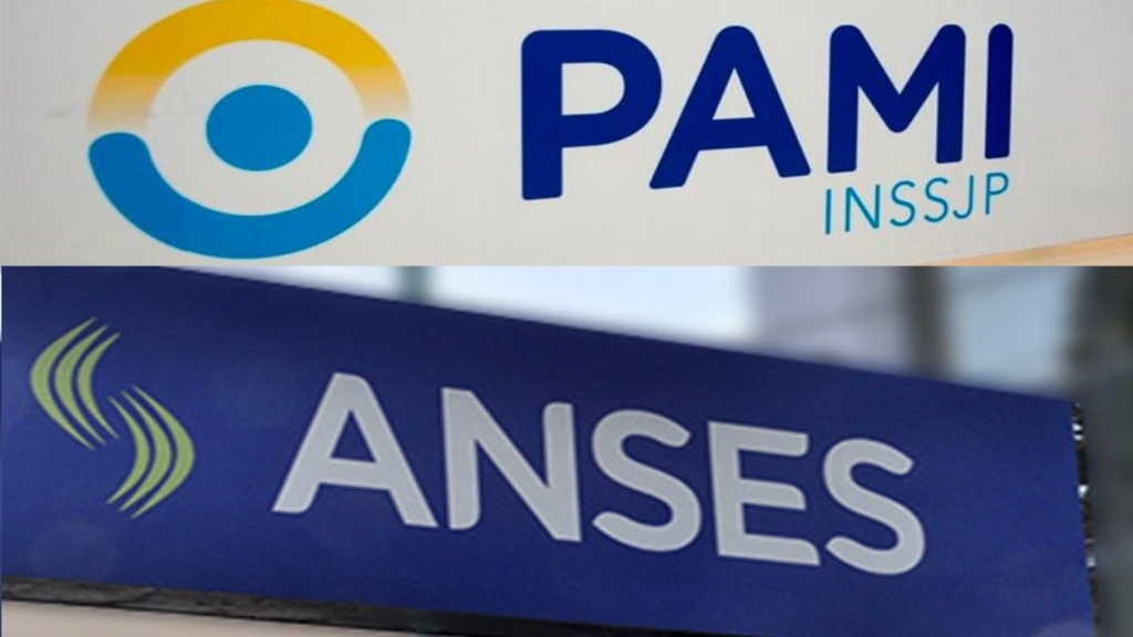 Cierre y despidos en Anses y PAMI en la provincia