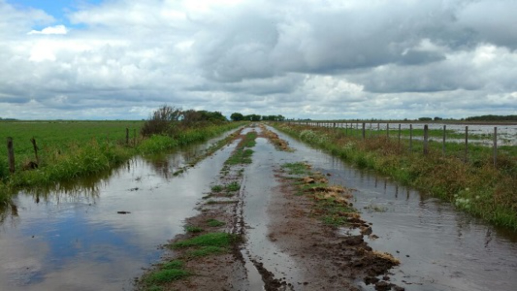 El exceso de lluvias complica al campo