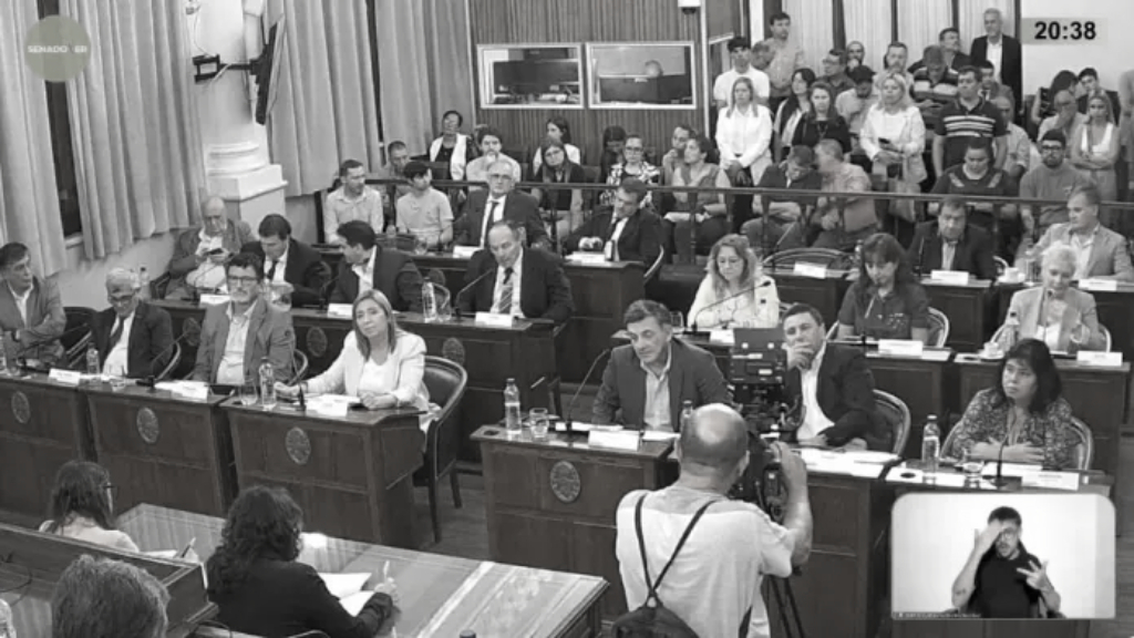 La fragilidad del PJ en el Senado: no puede haber senador ausente, nunca