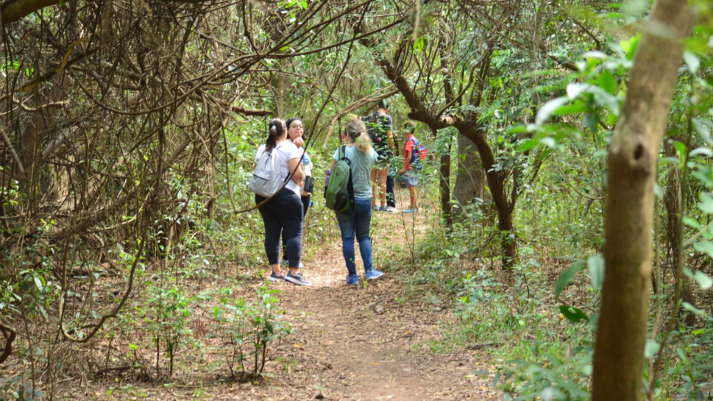 Un paseo filosófico por la naturaleza de la Isla del Puerto